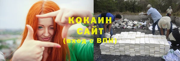 трава Медвежьегорск