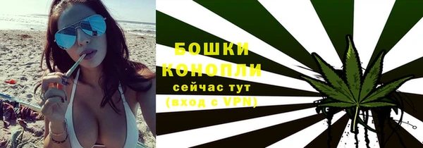 трава Медвежьегорск