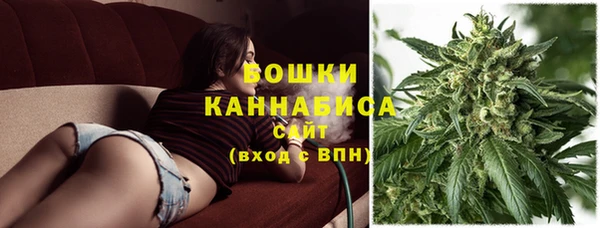 трава Медвежьегорск